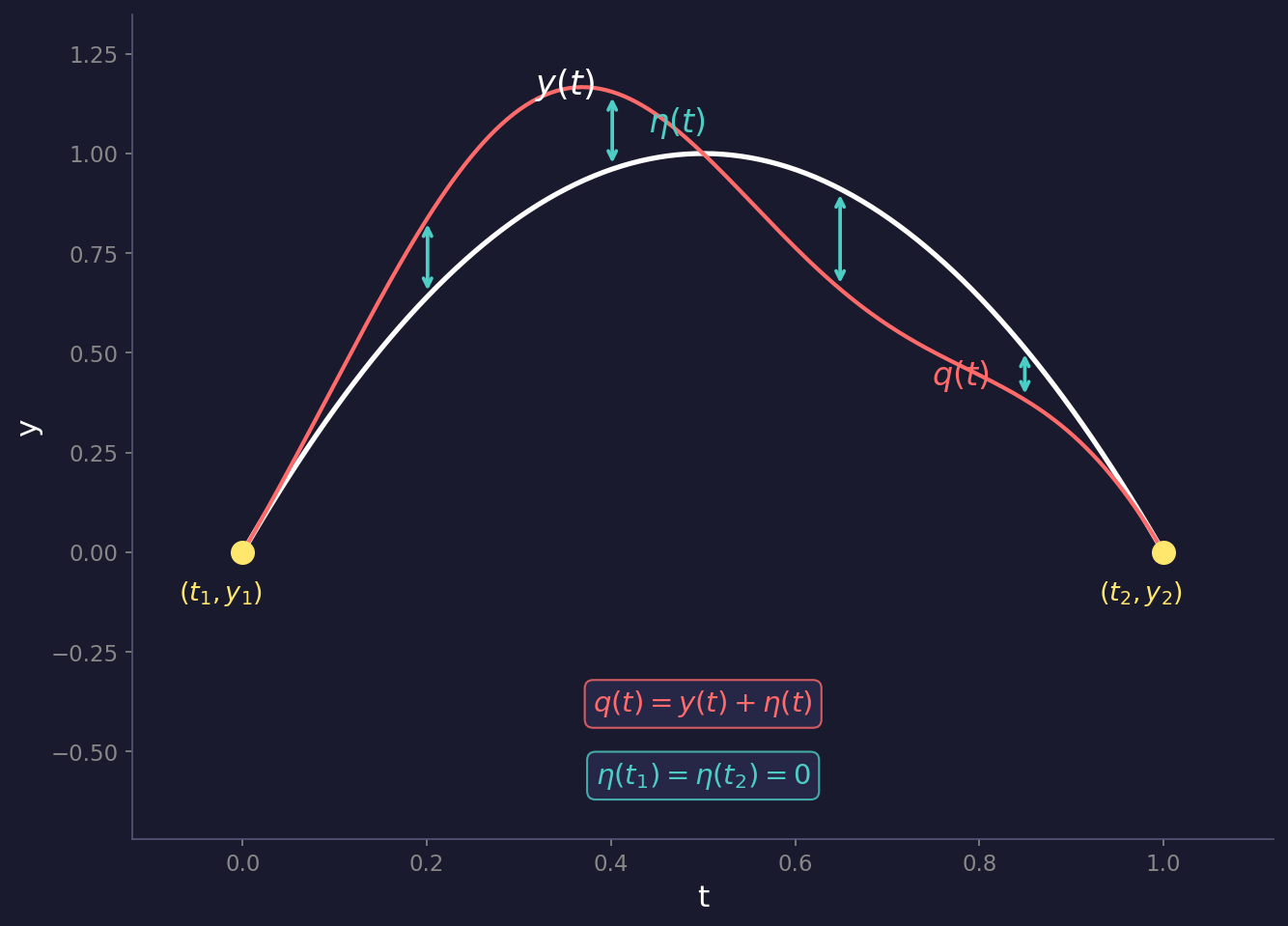 변분법 — 진짜 경로와 벗어난 경로